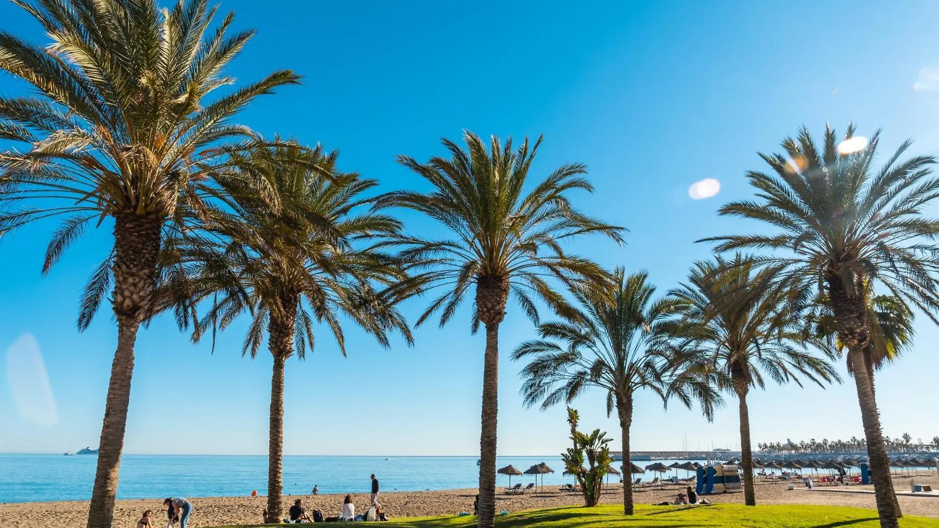 Your Home In Malaga Centro & Parking Free Spain